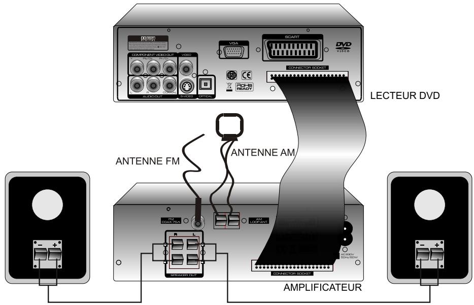 PEEKTON PK 8010 - Connexion du système HiFi - 1