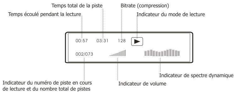 PEEKTON PK 9001 - Affichage des informations - 2