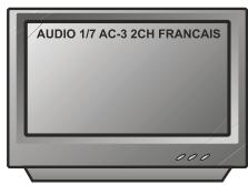 PEEKTON PK 9001 - Fonction AUDIO - 2