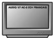 PEEKTON PK 9002 - Informations en mode lecture VCD - 2