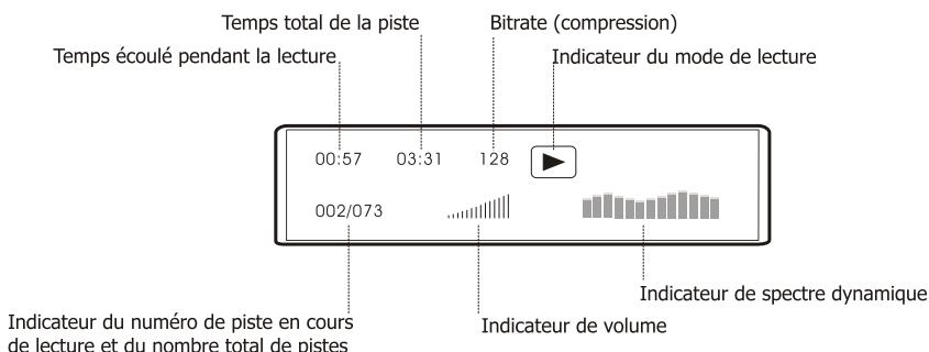 PEEKTON PK 9004 - Affichage des informations - 2