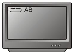 PEEKTON PK 9004 - Fonction A-B - 2