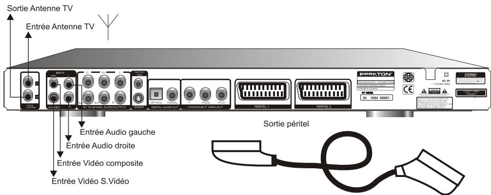PEEKTON PK 9905 HDD - Connexion utilisant les entrées du panneau arrière - 1
