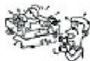 PEEKTON PKM 500 RDS - Informations importantes - 6