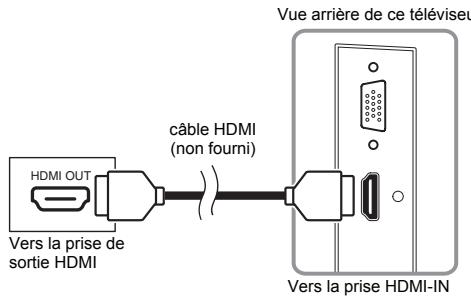 FUNAI LT6-M19WB - Branchement HDMI - 1