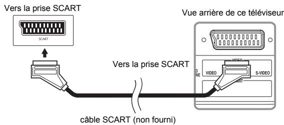 FUNAI LT6-M19WB - Branchement de la prise SCART - 1
