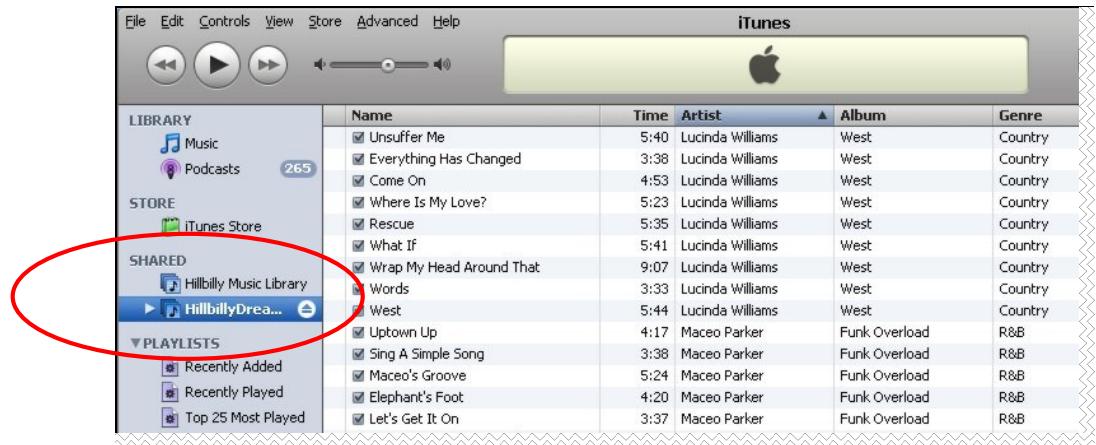 D-LINK DNS-313 - Serveur iTunes - 3