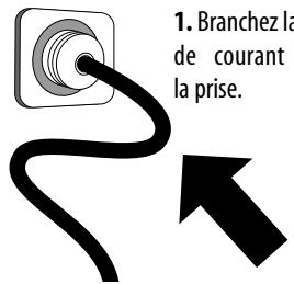 LAURASTAR COMPACT - Branchement de l'appareil - 1