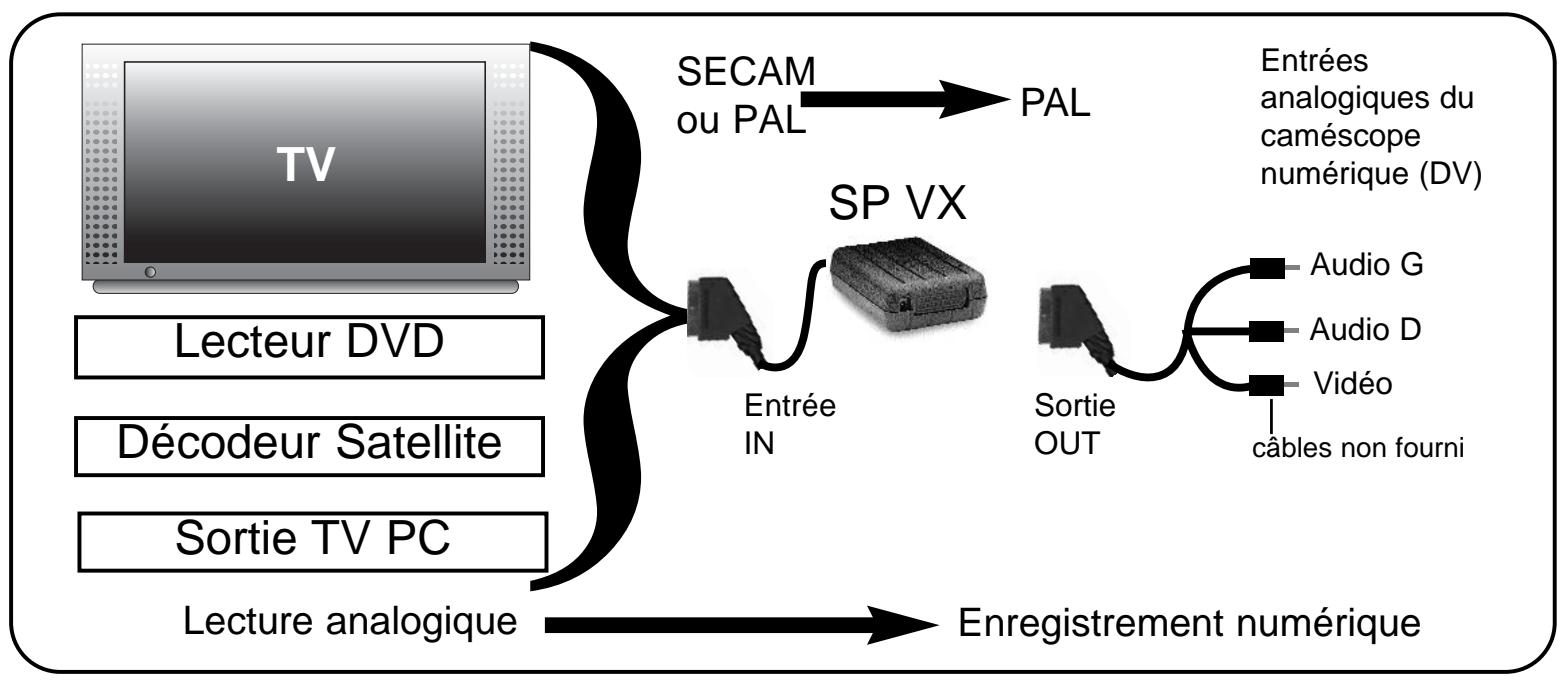 CGV SP VX - COPIE et archivage en FORMAT numérique! - 2