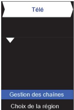 CGV PREMIO SAT HD-W2 - Sous-menu 'Télé' - 1