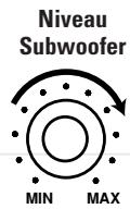 JBL SCS 138 SUBWOOFER (220-240V) - Filtre de coupure - 1