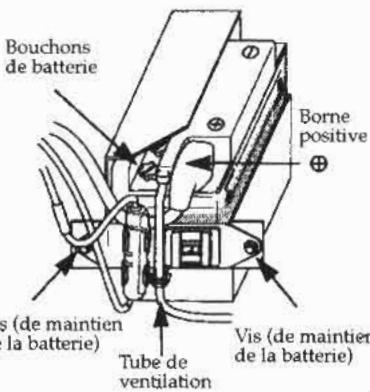 DAELIM DAYSTAR VL125 - "REMPLISSAGE DE LA BATTERIE" - 1