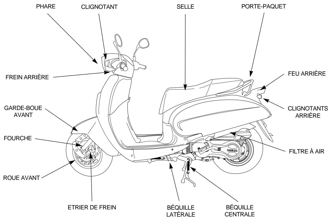 DAELIM BESBI 125 - ATTENTION - 2
