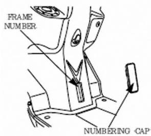 DAELIM S1 125 - RANGEMENT - 1