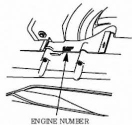 DAELIM S1 125 - RANGEMENT - 2