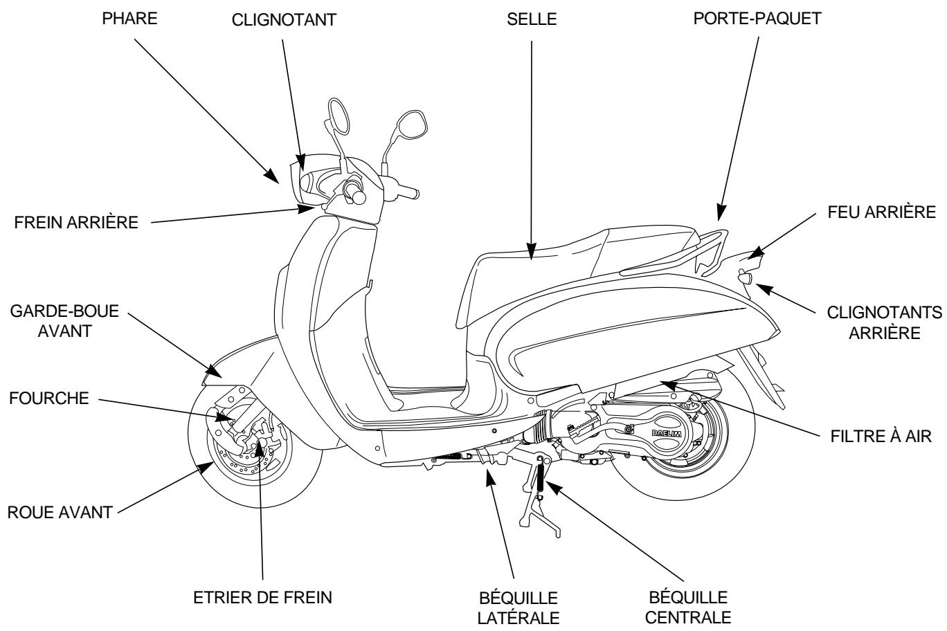 DAELIM SC125 - ATTENTION - 2
