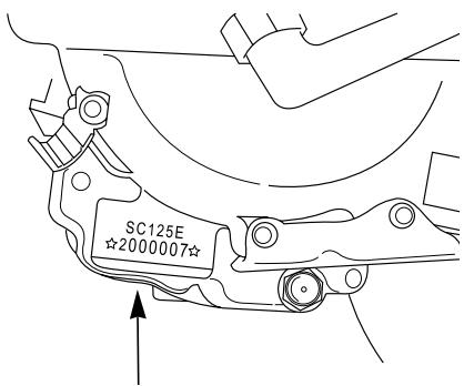 DAELIM SC125 - CONSEILS DE STOCKAGE - 1