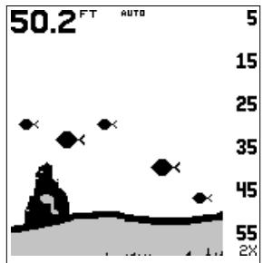 LOWRANCE GLOBALMAP 1600 - REPÉRAGE DES POISSONS - 1