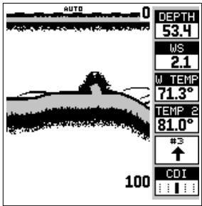 LOWRANCE GLOBALMAP 1600 - Affichage numérique/graphique - 1