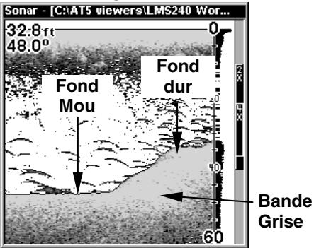 LOWRANCE GLOBALMAP 2400 - Bande grise - grayline® - 3