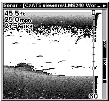 LOWRANCE LMS 337C DF - Pour afficher des informations à votre écran: - 5