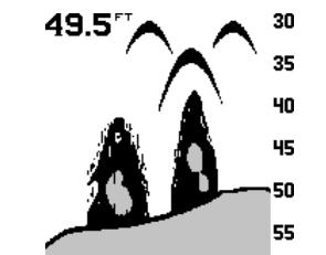 LOWRANCE LMS-160 - Limits supérieures et inférieures - 2