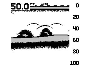 LOWRANCE LMS-160 - Limits supérieures et inférieures - 1