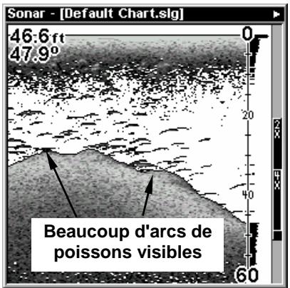 LOWRANCE X510C - Fish I.D.™ (Symboles & Profondeurs des Poissons) - 2