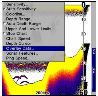 LOWRANCE X515C DF - Données de superposition - 1