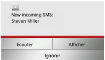 BECKER TRAFFIC ASSIST Z215 - Message SMS entrant - 1