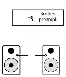 M-AUDIO SP-5B - Connexion aux sorties d'un préamplificateur, d'un ordinateur ou d'une console - 1
