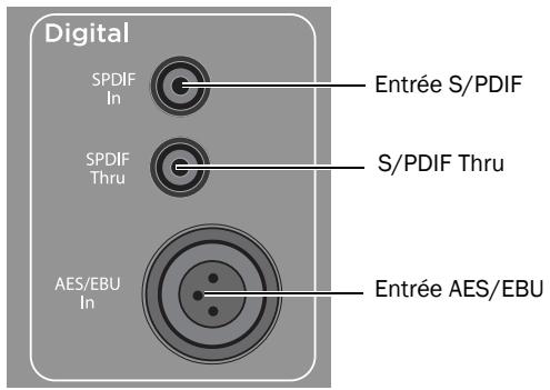 M-AUDIO STUDIOPHILE DSM3 - Branchement des entrées numériques - 1