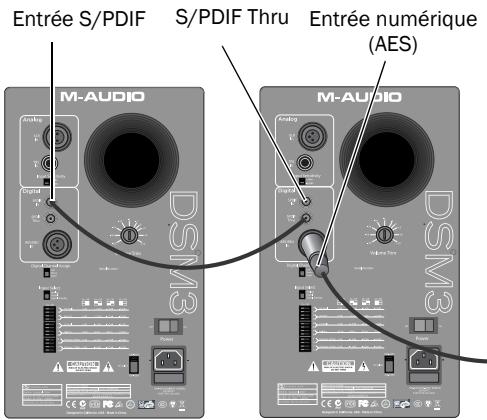 M-AUDIO STUDIOPHILE DSM3 - Connexion à des sources numériques - 1