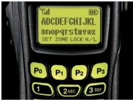 ICOM IC-F3162S - Ecran LCD graphique - 1