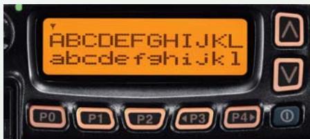 ICOM IC-F6061 - Écran LCD graphique - 1