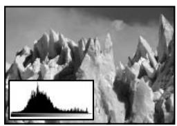 ADOBE PHOTOSHOP 7 - Contrôle de la qualité et de la gamme des tons d'une image numérique (photoshop) - 4