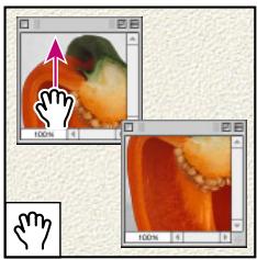 ADOBE PHOTOSHOP 7 - Description des outils (3/3) - 1