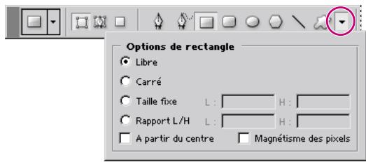 ADOBE PHOTOSHOP 7 - Définition des options des outils de forme - 1