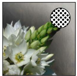 ADOBE PHOTOSHOP 7 - Définition des espaces de travail - 1