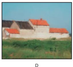 ADOBE PHOTOSHOP 7 - Utilisation de l'outil forme d'historique artistique (photoshop) - 5