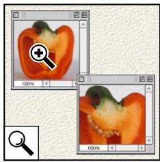 ADOBE PHOTOSHOP 7 - Description des outils (3/3) - 2