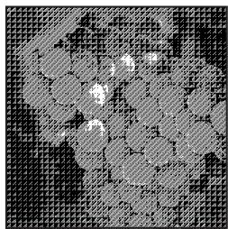 ADOBE PHOTOSHOP 7 - Choix des méthodes de conversion bitmap prédéfinies - 2