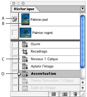 ADOBE PHOTOSHOP 7 - Utilisation de la palette historique - 1