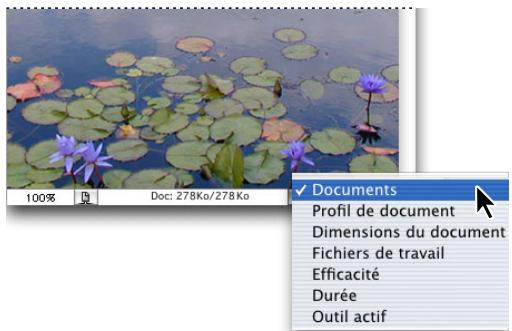 ADOBE PHOTOSHOP 7 - Pour afficher les informations sur le fichier dans la fenêtre du document (photoshop) : - 1