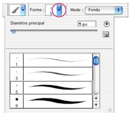 ADOBE PHOTOSHOP 7 - Utilisation des palettes déroulantes - 1