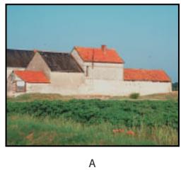 ADOBE PHOTOSHOP 7 - Utilisation de l'outil forme d'historique artistique (photoshop) - 2