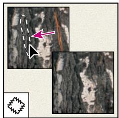 ADOBE PHOTOSHOP 7 - L'outil correcteur* - 1