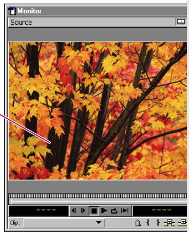 ADOBE PREMIERE 6 - Pour importer une image échantillon dans la fenêtre Titre : - 2