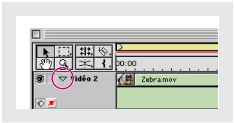 ADOBE PREMIERE 6 - Pour définiir une image clé d'effet : - 1