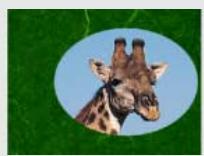 ADOBE PREMIERE 6 - Cache de piste - 3